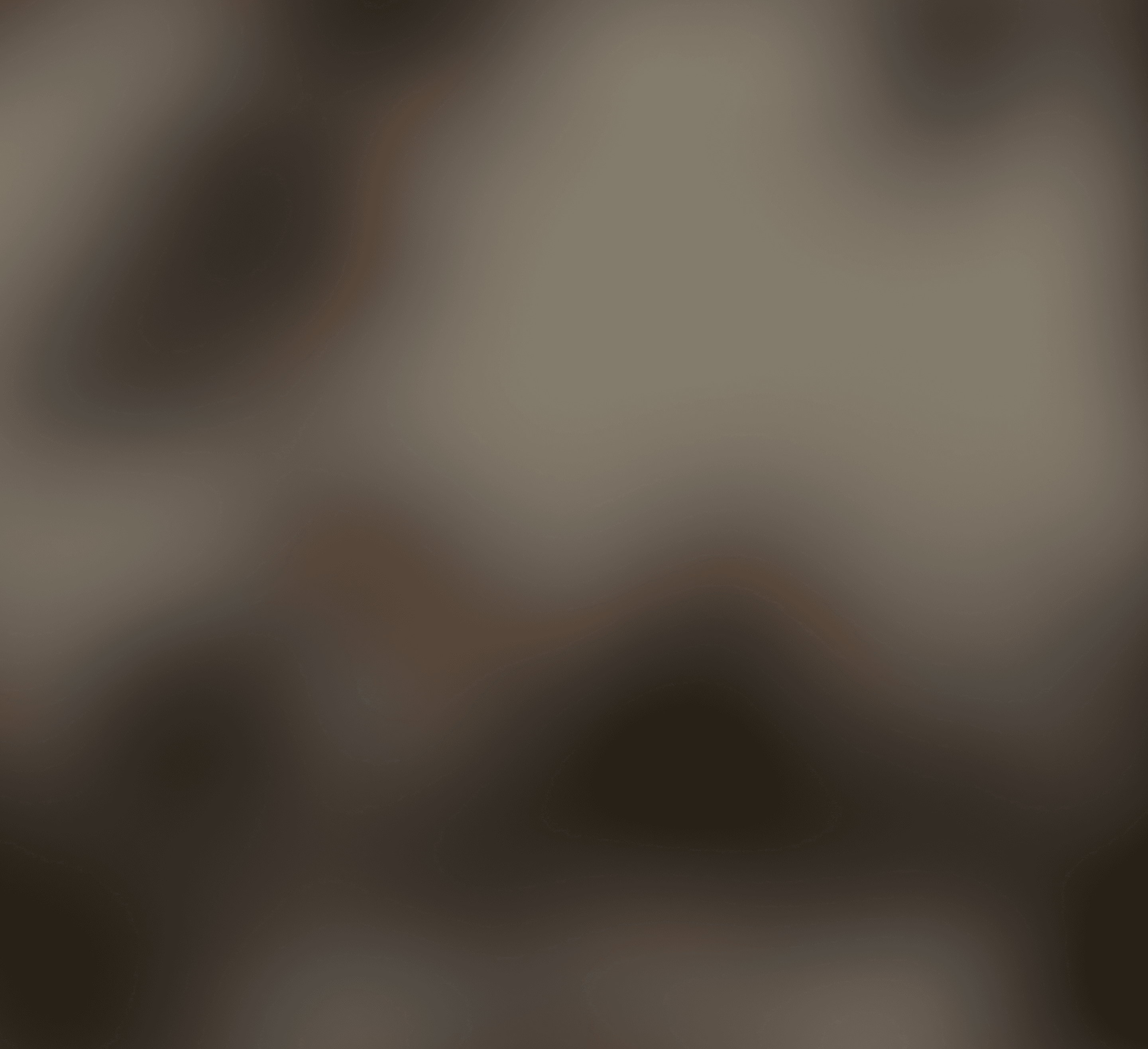 Decorative blurred background image.